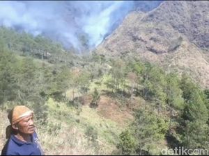 Kebakaran di Gunung Ringgit Terparah Sejak 2009, 90 Persen Lahan Habis