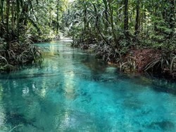 Ini Sungai Berwarna Biru di Raja Ampat