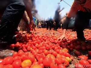 Tak Hanya Spanyol, Lembang Juga Punya Festival Perang Tomat Lho