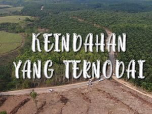 Jalur Asri nan Hijau Kampung Sri Rezeki Ternodai Jalanan Rusak