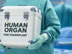 Daftar Tunggu Sangat Panjang, Warga Australia Cari Donor Organ ke Luar Negeri