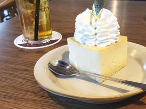 Laris Banget! 2.000 Cheesecake Ini Terjual Dalam Waktu 10 Menit