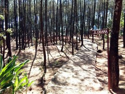 Jejak Presiden Obama di Puncak Becici Yogyakarta