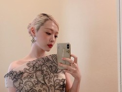 Peach, Lagu Ciptaan IU yang Terinspirasi oleh Sulli