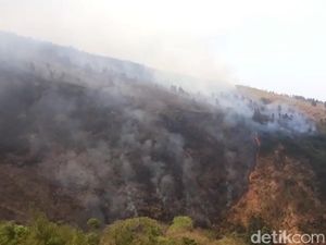 Cemara dan Akasia Ludes, Kebakaran di Gunung Ringgit Pasuruan Padam Cemara dan Akasia Ludes, Kebakaran di Gunung Ringgit Pasuruan Padam