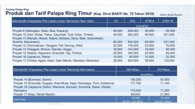 Tarif Palapa Ring, 'Tol Langit' Pemersatu Indonesia