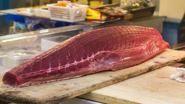 5 Ikan Pengganti Salmon untuk Anak, Lebih Murah & Bernutrisi