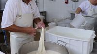 Yuk, Intip Proses Pembuatan Keju Mozzarella Italia yang Autentik!