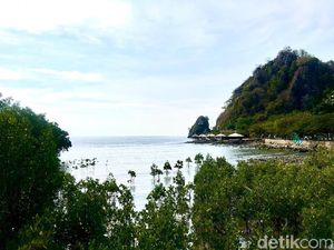 Foto: Rewataa, Hutan Mangrove Kaya Pesona di Sulawesi Barat Foto: Rewataa, Hutan Mangrove Kaya Pesona di Sulawesi Barat