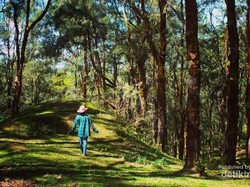 Mengenal Timor Tengah Selatan yang Baju Adatnya Dikenakan Jokowi