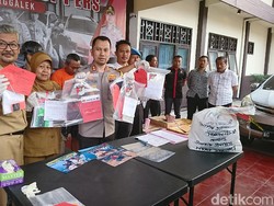 Penyelundupan 16 Ribu Baby Lobster dari Trenggalek ke Jakarta Digagalkan