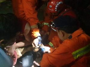 Anjing Terlilit Rantai, Tedi Lapor Petugas Damkar