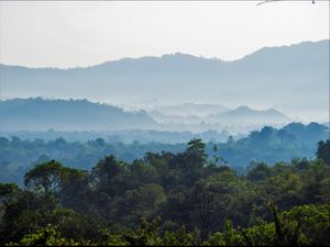 Amazing Leuser Amazing Leuser