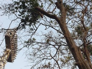 Kering berSeni 2 Kering berSeni 2