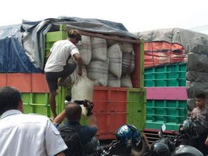 5 Fakta Tentang Daun Kratom yang Disebut Bisa Bikin Kecanduan 5 Fakta Tentang Daun Kratom yang Disebut Bisa Bikin Kecanduan