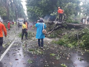 Kecelakaan Saat Hindari Pohon Tumbang di Bogor, Pemotor Tewas