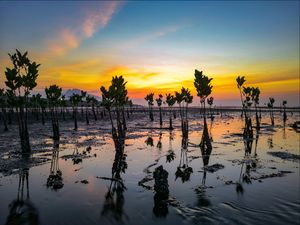 Lindungi Bumi, Selamatkan Bumi Lindungi Bumi, Selamatkan Bumi