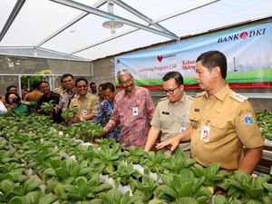Manfaatkan Lahan Terbatas dengan Tanaman Hidroponik Manfaatkan Lahan Terbatas dengan Tanaman Hidroponik