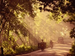 Sinar Pagi Sinar Pagi