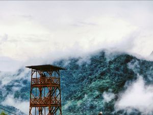 Reboisasi gunung penanggungan Reboisasi gunung penanggungan
