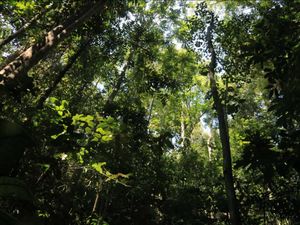 Bersahabat dengan alam Bersahabat dengan alam