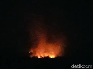 Relawan Pemadaman Gunung Ringgit Mengaku Melihat 3 Macan Tutul