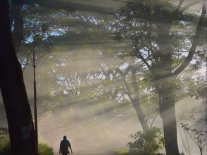 Dalam terang pagi-Mu Dalam terang pagi-Mu