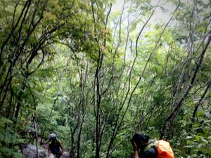 Lelah Yang Nikmat Lelah Yang Nikmat