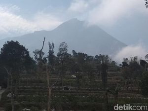 Antisipasi Erupsi Merapi, Bupati Magelang Minta Warga di KRB Siapkan Ini