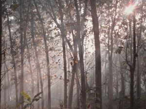 Secercah sinar pagi Secercah sinar pagi