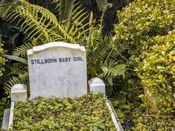 Angka Kematian Bayi di Bandung Capai 894 Kasus Selama Tujuh Tahun