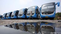 Bus Zhongtong Kembali Jadi Armada TransJakarta