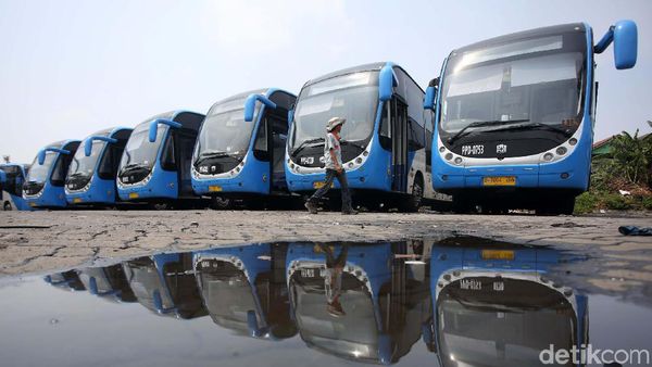 Bus Zhongtong Kembali Jadi Armada TransJakarta