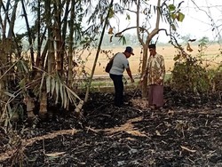 Berniat Padamkan Kebakaran, Nenek di Mojokerto Justru Tewas Terbakar