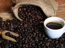 Ini Alasan Kesegaran Biji Kopi Pengaruhi Rasa Minuman Kopi