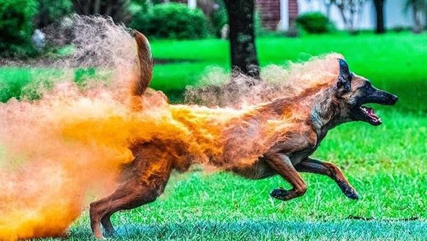 Kumpulan Foto Keren yang Mungkin Dikira Photoshop