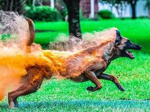 Kumpulan Foto Keren yang Mungkin Dikira Photoshop