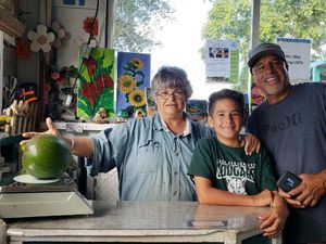 Terbesar di Dunia! Alpukat Jumbo Ini Beratnya 2,5 Kg