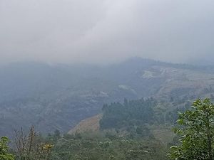 Hutan Gunung Ringgit Habis Terbakar, Warga Sesalkan Telatnya Water Bombing
