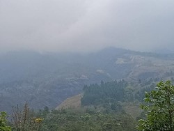 Dalam Sepekan, 843 Hektare Lahan Gunung Arjuno-Welirang Habis Terbakar