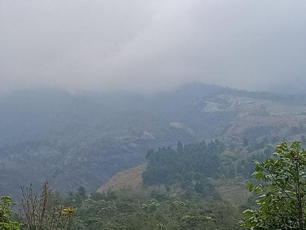 Hutan Gunung Ringgit Habis Terbakar, Warga Sesalkan Telatnya Water Bombing Hutan Gunung Ringgit Habis Terbakar, Warga Sesalkan Telatnya Water Bombing