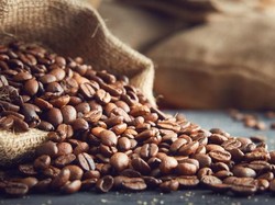 Diburu Investor, Kopi Komoditas Paling Seksi Setelah Emas