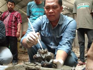 Tengkorak Misterius di Indramayu Diduga Hidup pada Abad 16