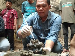 Tengkorak Misterius di Indramayu Diduga Hidup pada Abad 16