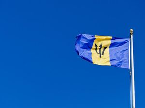 Foto: Bendera-bendera Negara yang Punya Gambar Senjata Foto: Bendera-bendera Negara yang Punya Gambar Senjata