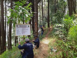 Babi Hutan Rusak Lahan di Ciamis, Warga Pasang 3 KM Pagar Berduri