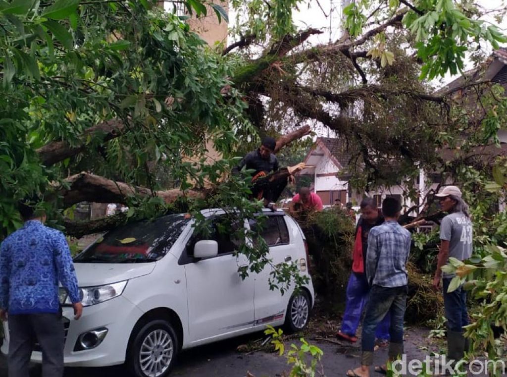 Cianjur Diterjang Hujan Badai, Mobil-Motor Tertimpa Pohon Cianjur Diterjang Hujan Badai, Mobil-Motor Tertimpa Pohon