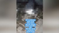 Kucing mabok ciu