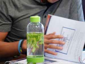 Minuman Sehat Sandiaga Uno, Air Pare hingga Jamu Brotowali