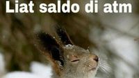 7 Meme Saldo ATM Ini Bikin Kamu Senyum-senyum Kecut di Tanggal Tua